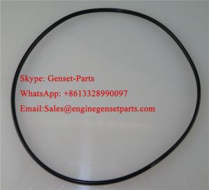 Cummins L10 M11 Seal O Ring 3047188